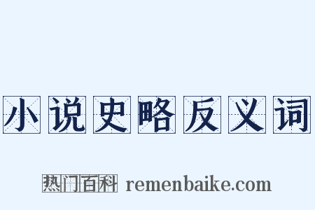 小说史略反义词是什么意思的图片